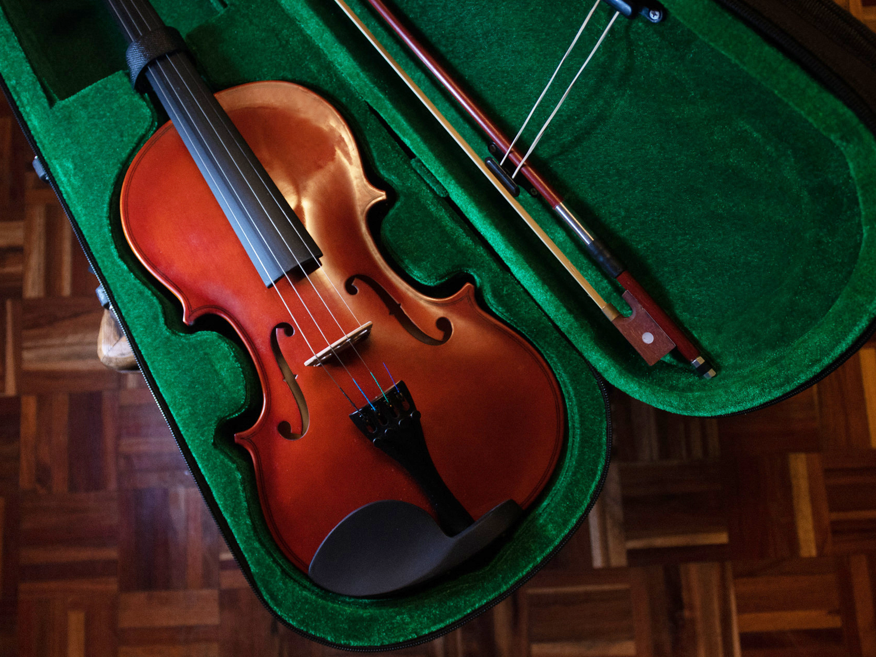custodia su misura violino